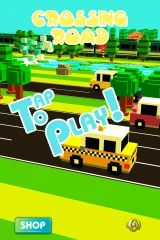 POKE Crossing