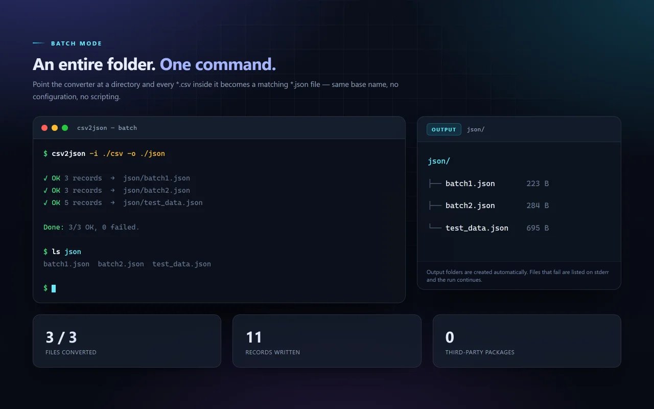 CSV2JSON CSV to JSON Batch Converter — screenshot 3