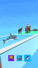 Animal Shift Race