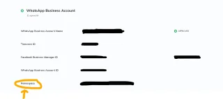 Using C# with 360 Dialog WhatsApp API Templates