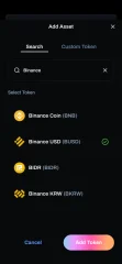 Digital/Crypto Wallet UI