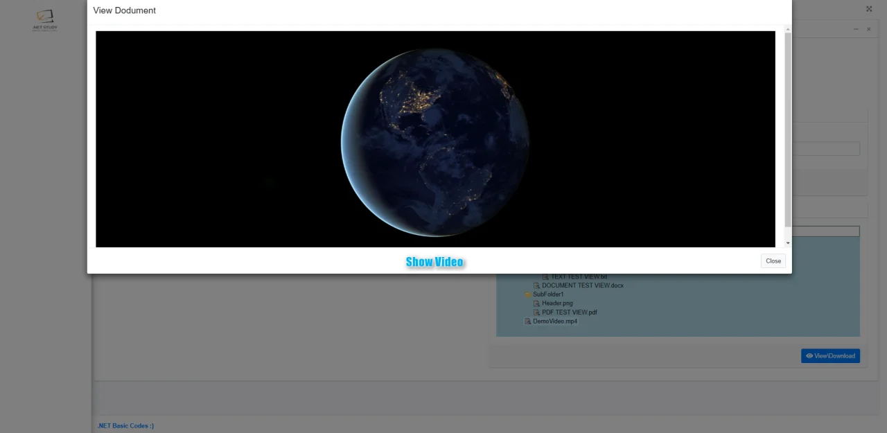Document View / Download Use Web Service — screenshot 4