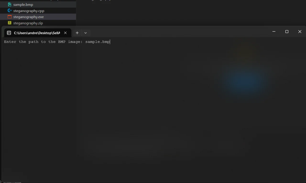 Steganography Tool (LSB with Optional XOR Encryption) — screenshot 1