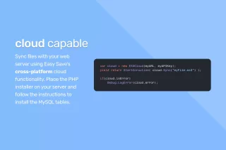Easy Save - The Complete Save Game & Data Serializer System