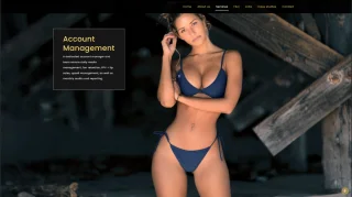 Agency Template Website