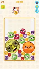 Fruit Merge Drop Puzzle