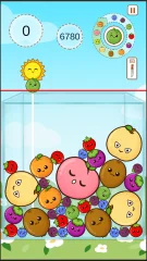 Fruit Merge Puzzle