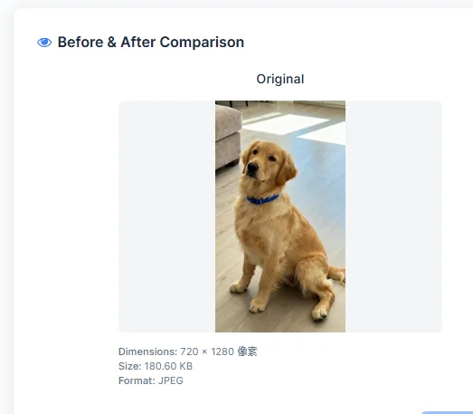Photo Compressor — screenshot 3