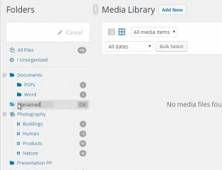 WordPress Real Physical Media: Physical Media Folders & SEO Rewrites