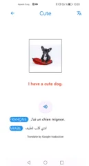 Flutter Learn Englsih Vocabulary App | English Course App (Source Code)