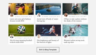 Blog Designer Pro for WordPress