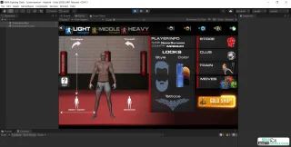 MMA Fighting Clash