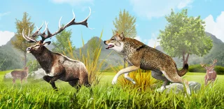 Wolf Simulator Attack Games 3D