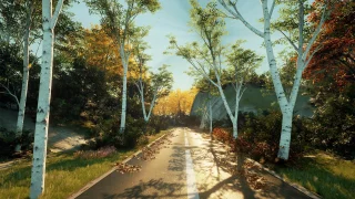 XBH TREE Vol. 1