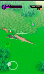 Evolution