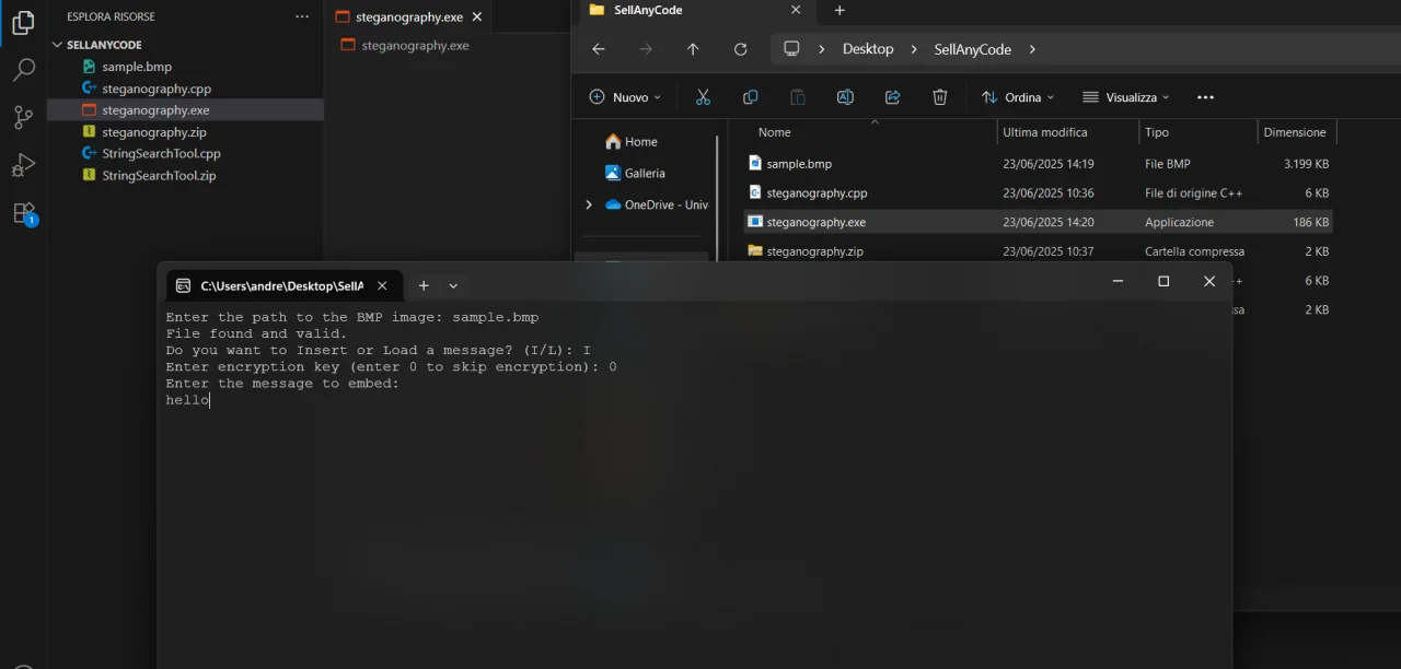 Steganography Tool (LSB with Optional XOR Encryption) — screenshot 2