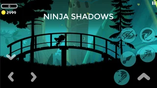 Ninja Shadows Unity