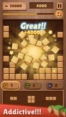 Wood Block Puzzle