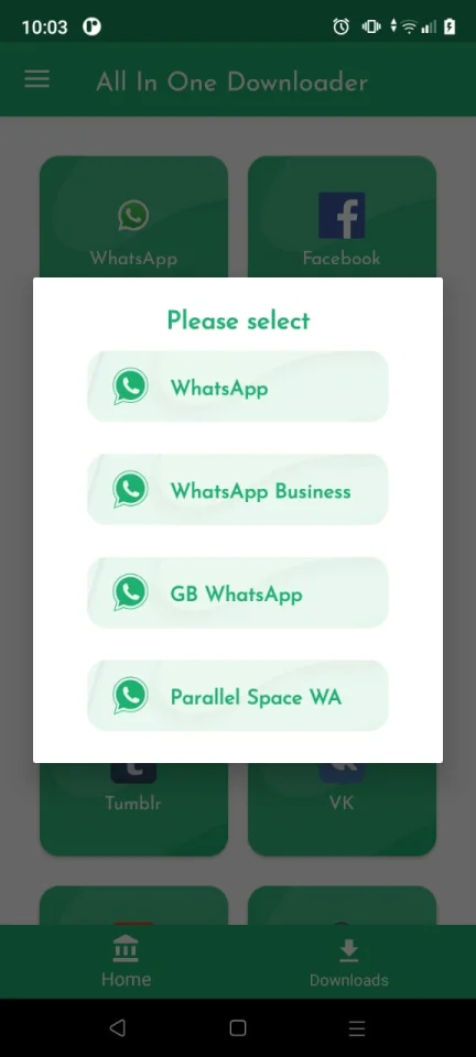 All in One Downloader – Status Saver & Video Downloader (AdMob, OneSignal, Firebase, FAN, INAPP) — screenshot 3