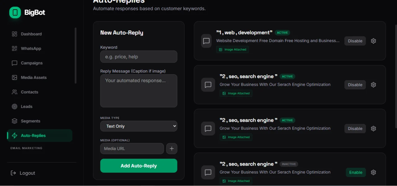 BigBot WhatsApp Email Marketing SaaS Script Code — screenshot 4