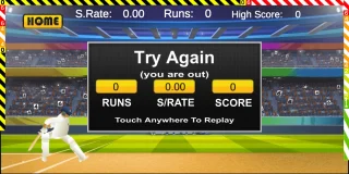 Cricket Stars Bowled 2019 64 Bit Supported