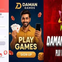 Daman Game Source Code with Full API Integration Ready to Launch