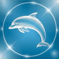 Dolphin TV with Admin Dashboard Control