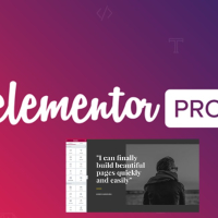 Elementor Pro Download Lifetime, WordPress Themes Editing Plugins