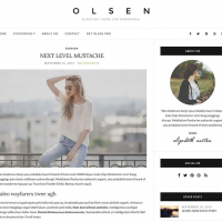 Olsen Light Clean And Simple WordPress Blog Theme