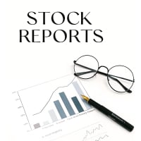 PDF Stock Report Generator Script in Python
