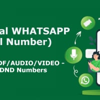 Promotional WhatsApp Marketing Service Send Bulk Messages with Virtual Number