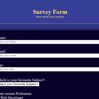 Survey Form