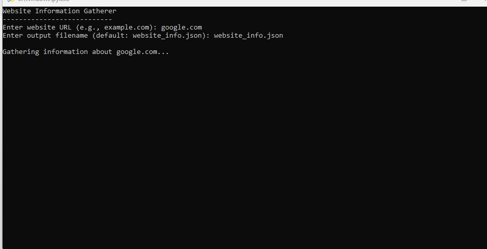 Website Information Gatherer — screenshot 1