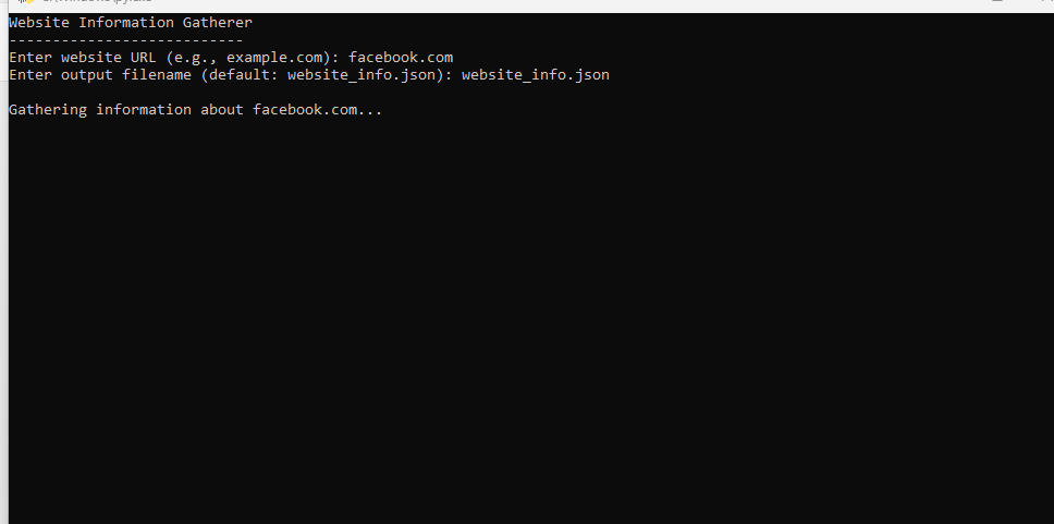 Website Information Gatherer — screenshot 3