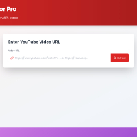 YouTube Tag Extractor Website Script