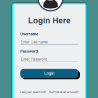 Basic Login Page